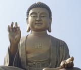 1629663302222