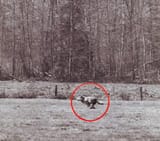 Thread 40647102 OP Image