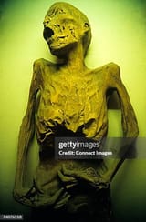 gettyimages-74076518-612x612