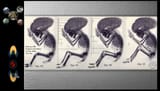 AlienEmbryo