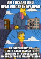 skinner-gangstalking