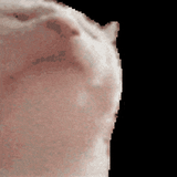 1747944102356343