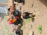IMG_20250702_114018740