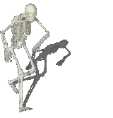 Bone