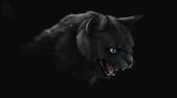darkness-mouth-fangs-black-cat-wallpaper-preview