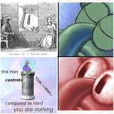 compare