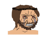 80gexw