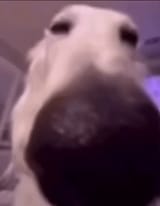 1702852741389603