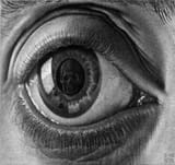 eye
