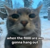 f-are-gonna-hang-out