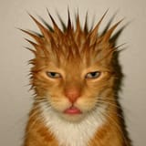 GuvvsbGWwAAwboE