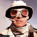 Raoul Duke Desert