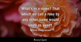 williamshakespeare1-2x