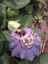 IMG_20230629_131650