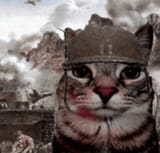 ptsd