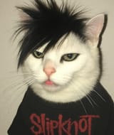 Slipkot