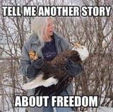 freedom