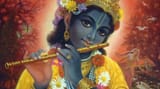 Krishna blackish