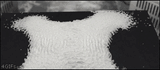 cymatics