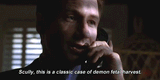 demon fetal harvest