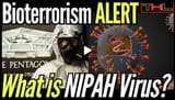 nipah