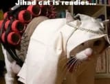 JihadiCat_1