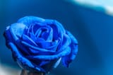 azurepetalsofimpossibility