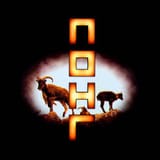 Coil-The-Remote-Viewer-4183920190