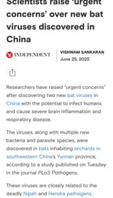 Bats_Nipah