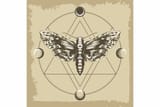 Thread 40667216 OP Image
