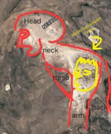 petrifiedHSburnout
