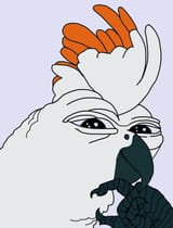 1732155182449536 (1)