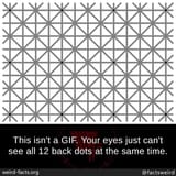 Dyslexia test