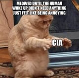 1725405104263318