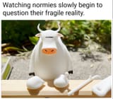 1749614533021994