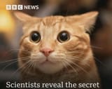 secret