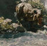 rex