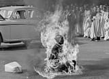 burning-monke