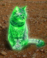 Green_glowing_cat
