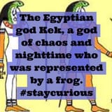 damn_pepe