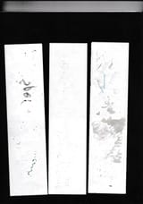 SCN_0009