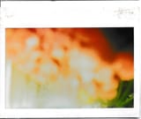 SCN_0040 copy