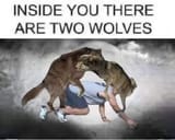 1732561443069109
