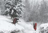jakub-rozalski-drak-fairy-returns