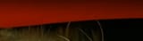 Thread 40678531 OP Image
