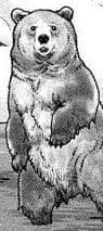 VinlandBear