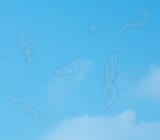 Simulated_floaters