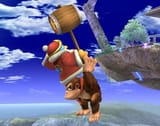 donkeykong_080304d-l