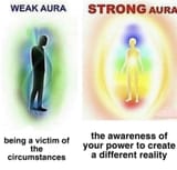 schizo wisdom