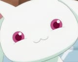 smug_kyubey